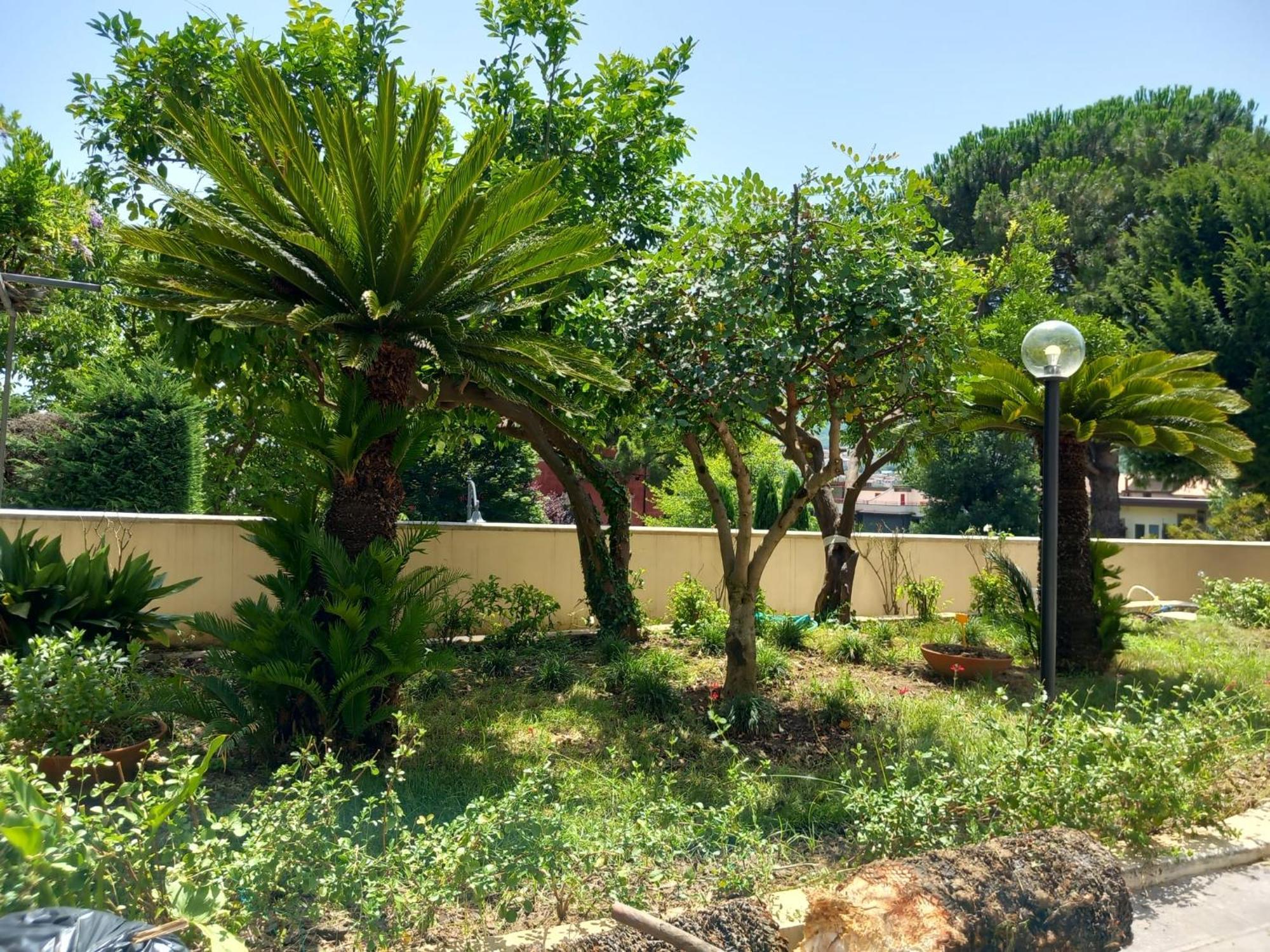 Villa Maria Cristina D'Amico Cava De' Tirreni Bagian luar foto